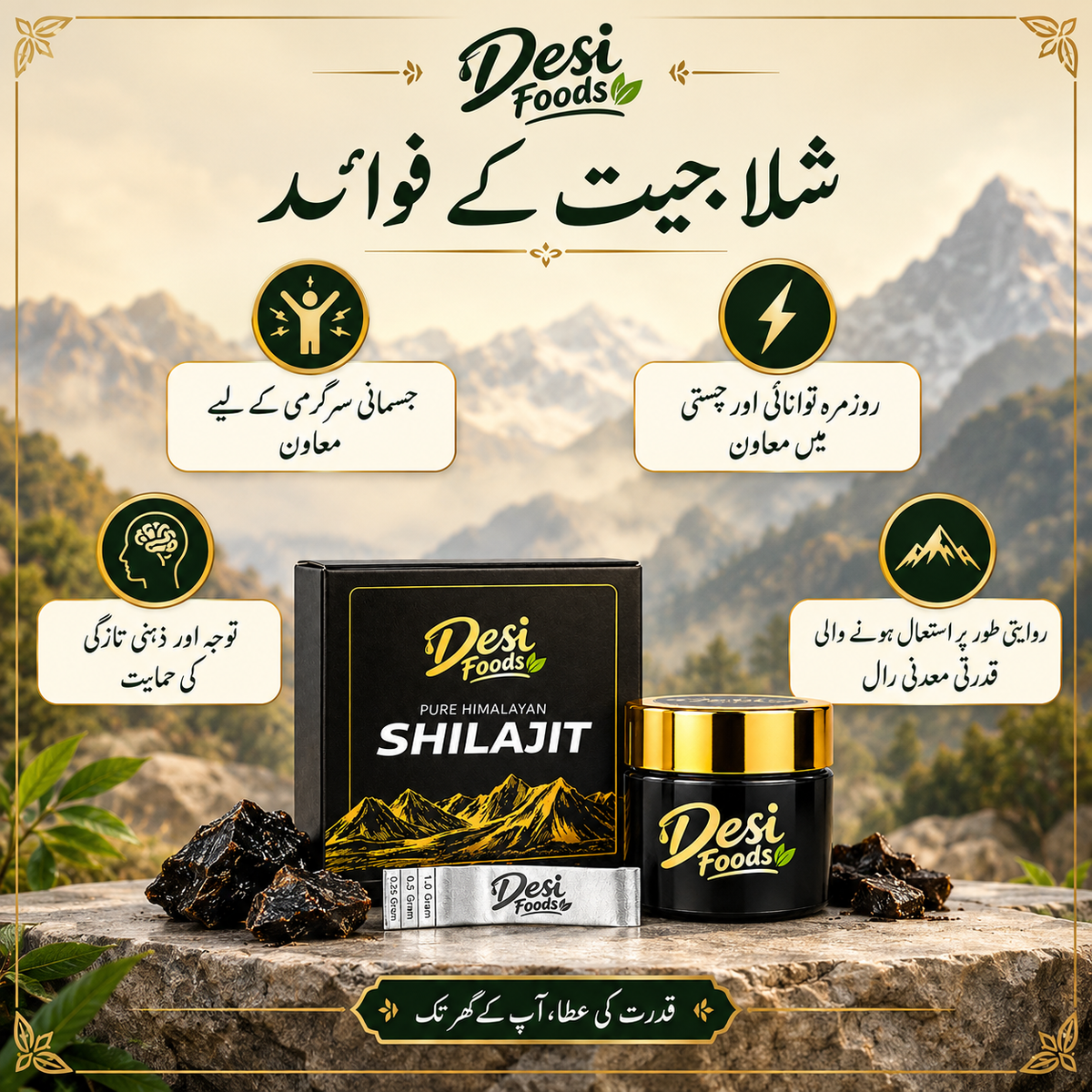 Pure Himalayan Shilajit 50Gram خالص شلاجیت